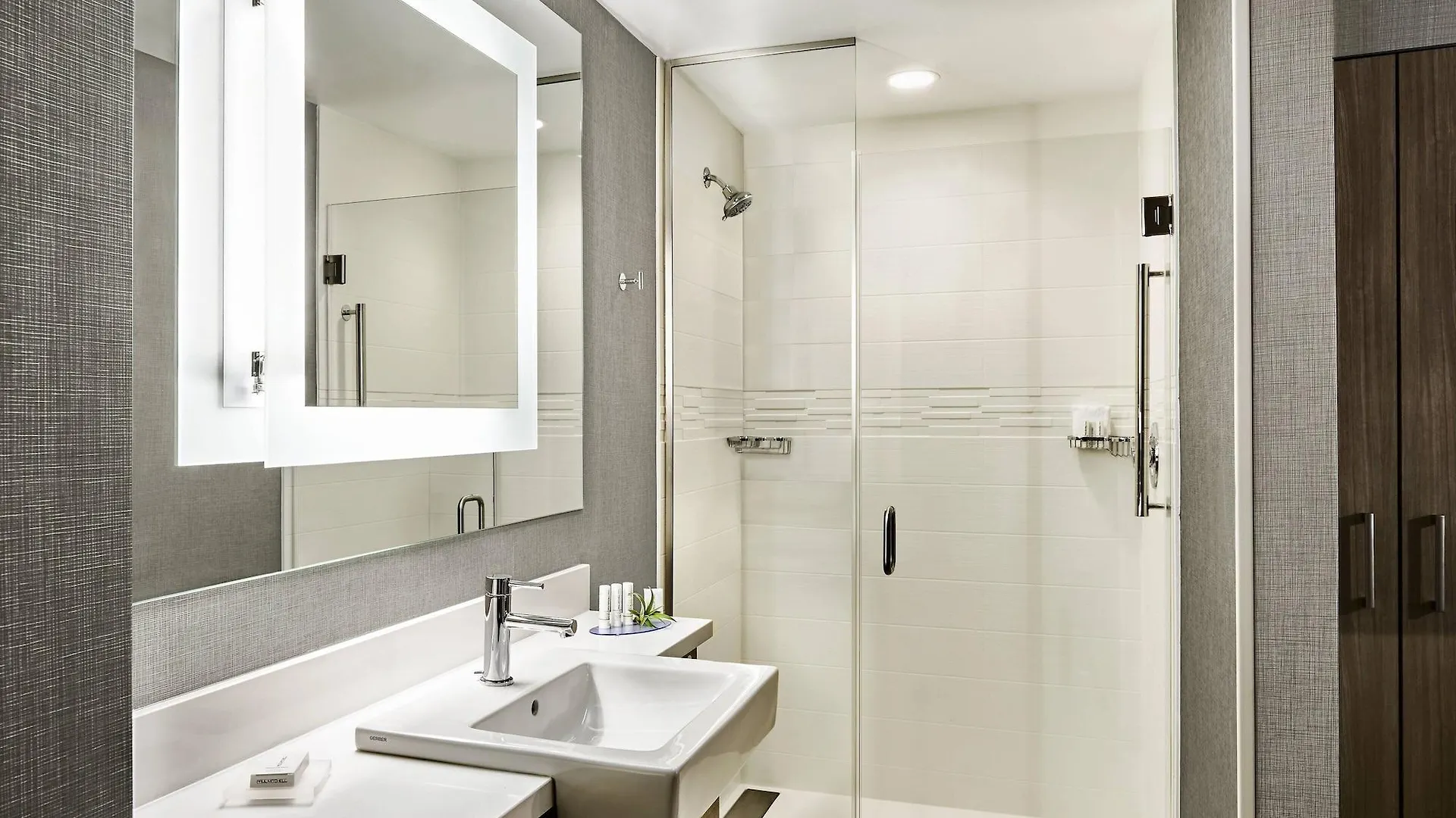 Springhill Suites By Marriott New York Midtown Manhattan/Park Ave מלון